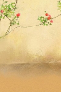 美国队获得国际足球比赛冠军头衔