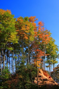 素质球员全方位发力，球队奋力争胜