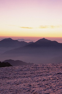 西班牙队在世界杯赛场上大放异彩